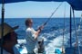 Pesca en bote de 33 pies