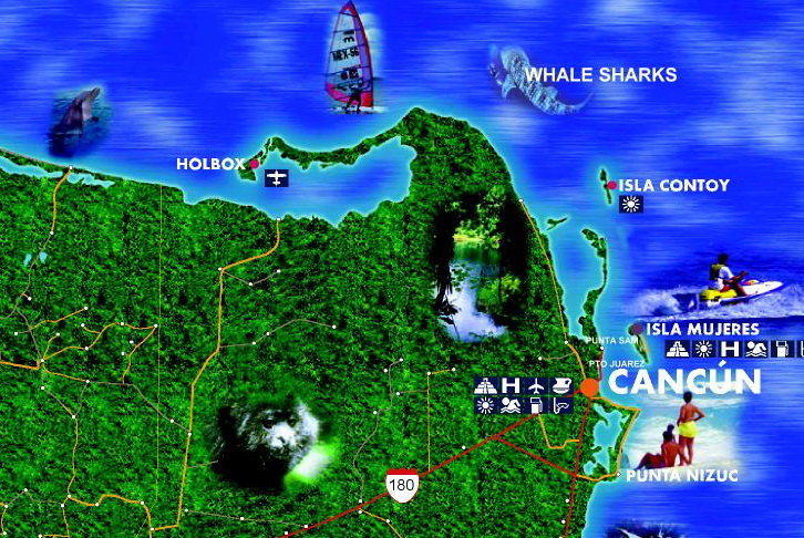 Mapa de ubicacion del tiburon ballena