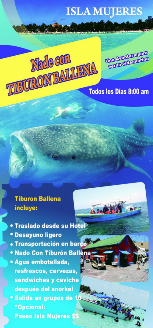 Folleto de nado con el tiburon ballena