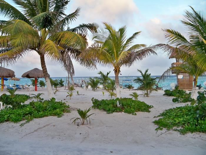 cocoteros mahahual