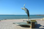 Excursin a La Paz