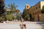 Excursin a Todos Santos