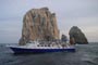 Avistamiento de Ballenas en Cabo San Lucas